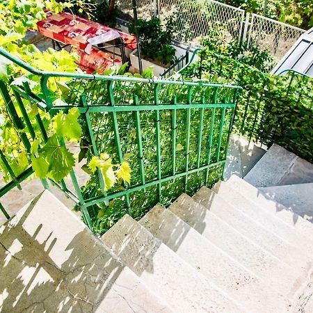 Luxury Villa Minerva Gardens スプリト エクステリア 写真